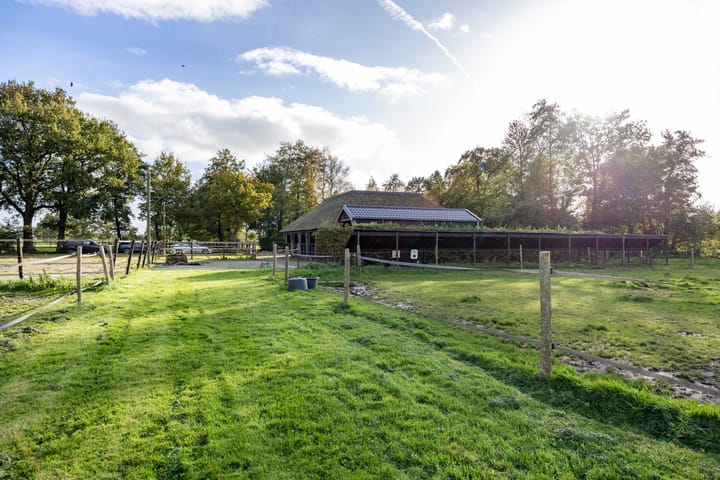 Foto 85 van Houtwal 34