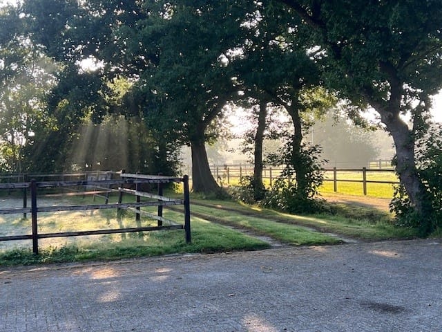 Foto 86 van Houtwal 34