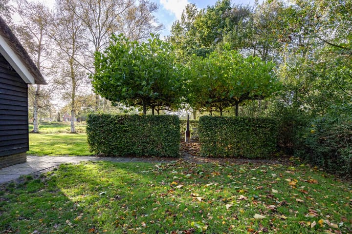 Foto 93 van Houtwal 34