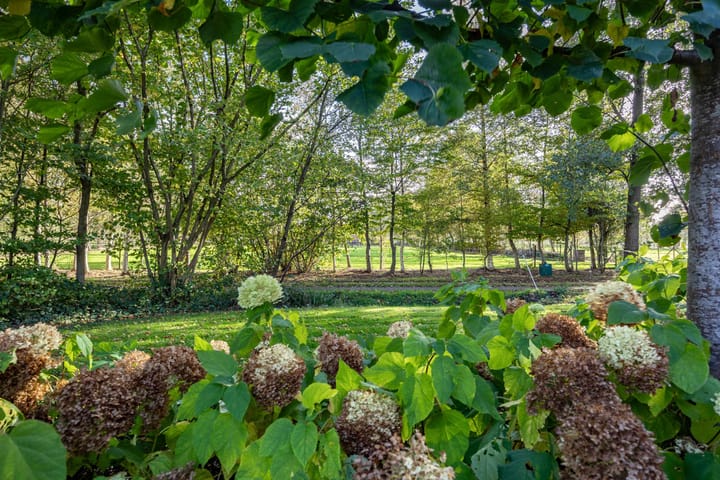 Foto 105 van Houtwal 34