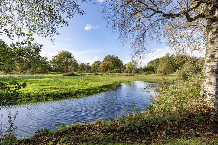 Foto 109 van Houtwal 34