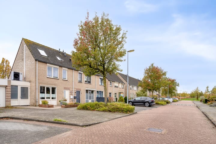 Photo 45 of Sabelmarter 1