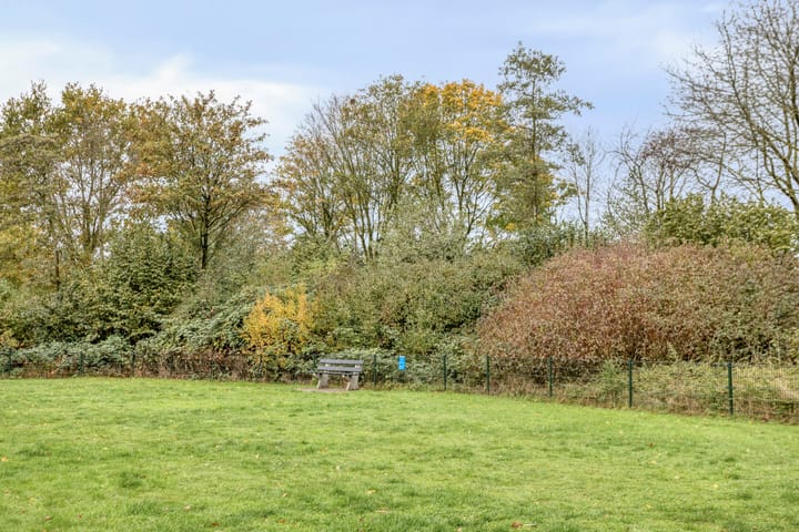 Photo 48 of Sabelmarter 1