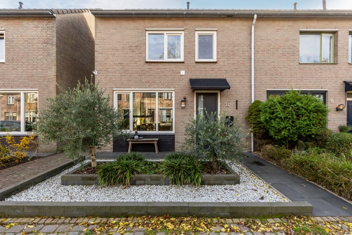 Calluna 10 main image