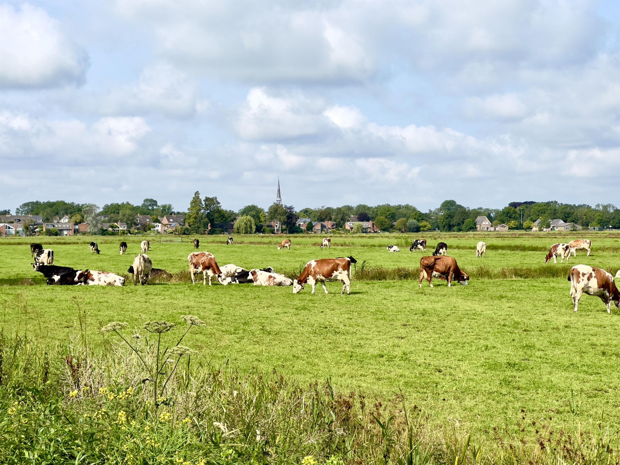 Photo 9 of Havenrak 21-B