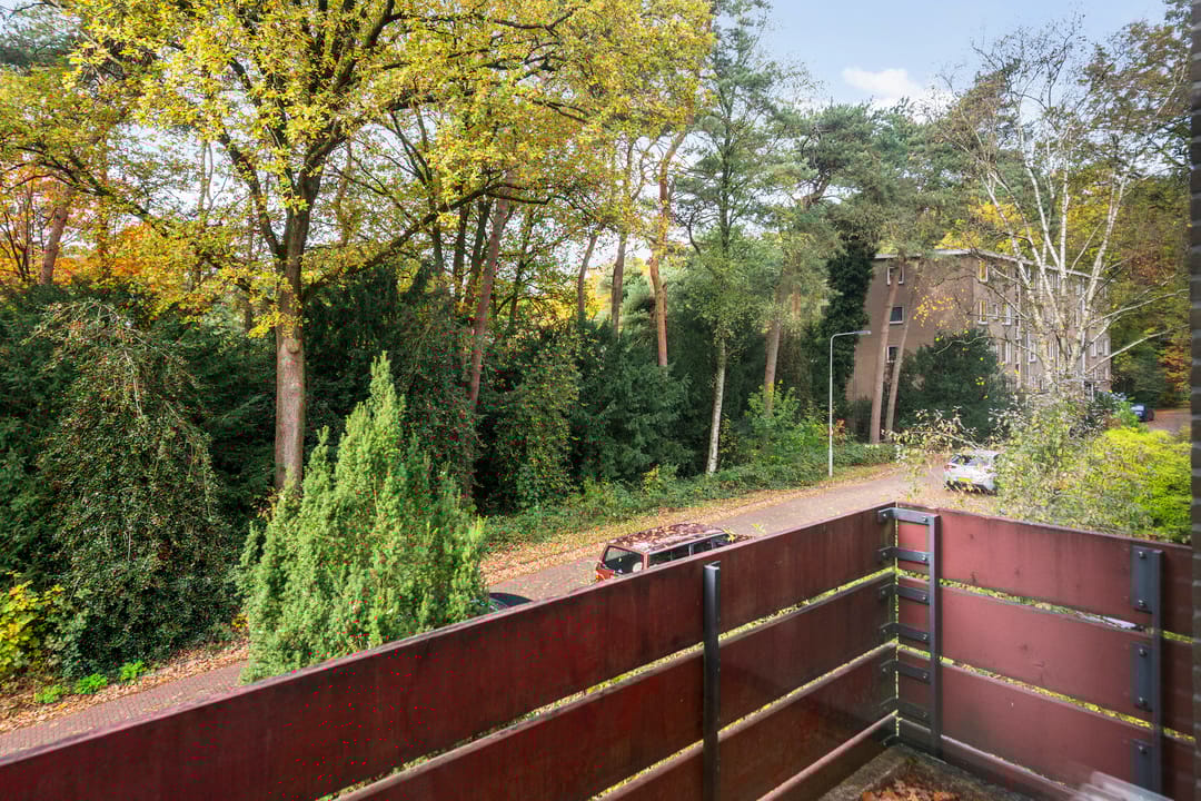 Foto 31 van Berliozstraat 12