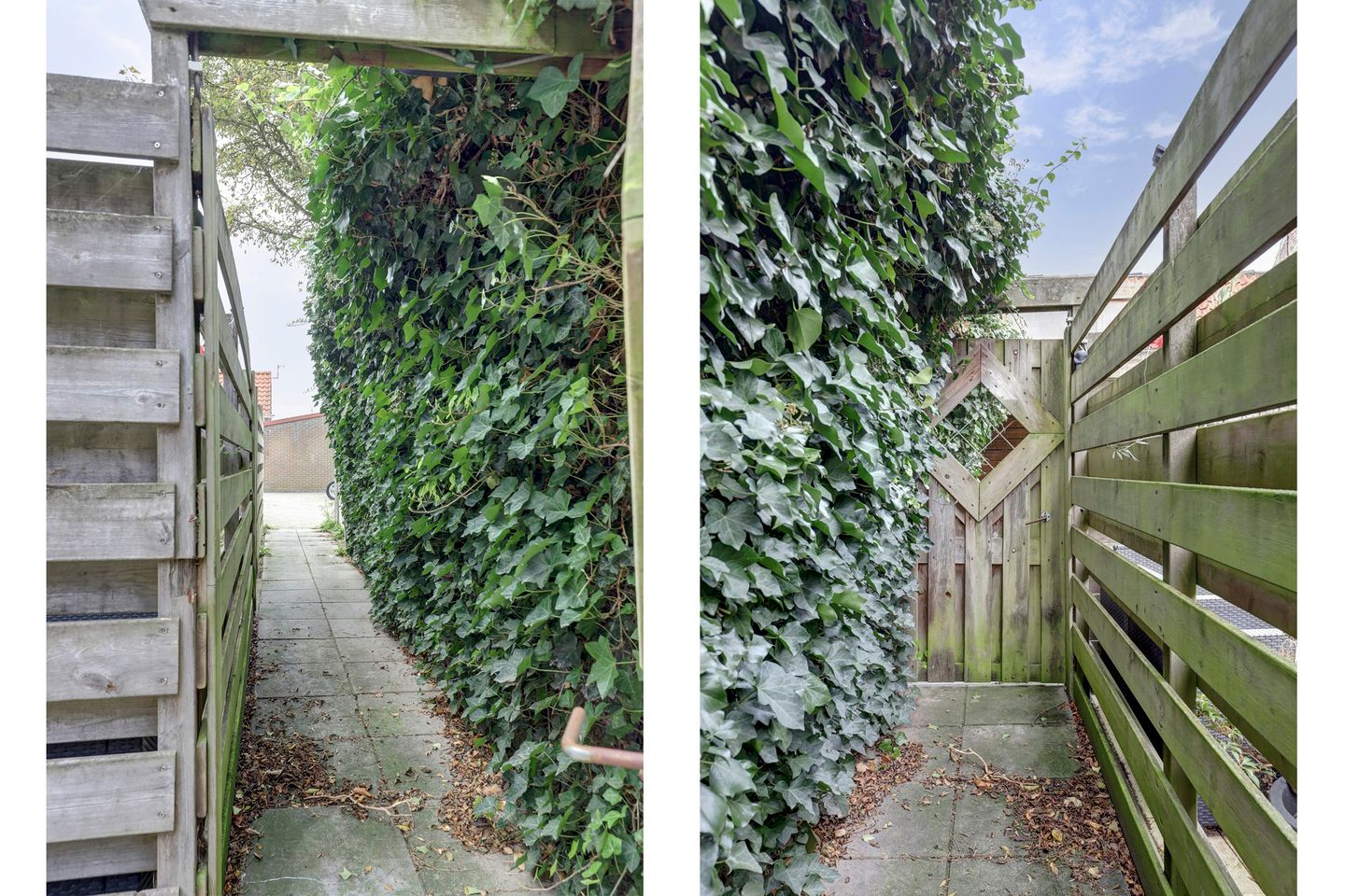 Foto 25 van Regenboogstraat 4