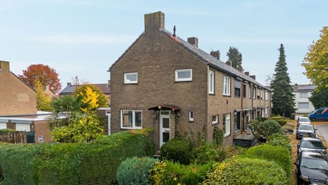 Cluysenaerstraat thumbnail