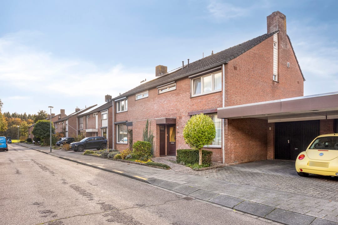 Foto 1 van Boekweitsdries 10