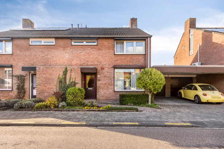 Foto 5 van Boekweitsdries 10