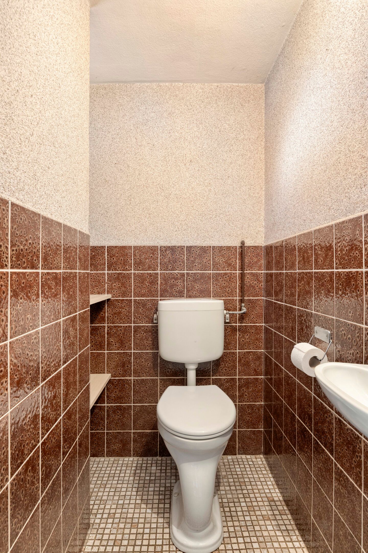 Foto 9 van Boekweitsdries 10