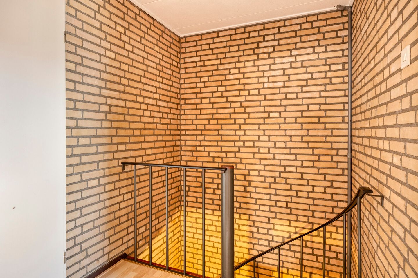 Foto 19 van Boekweitsdries 10