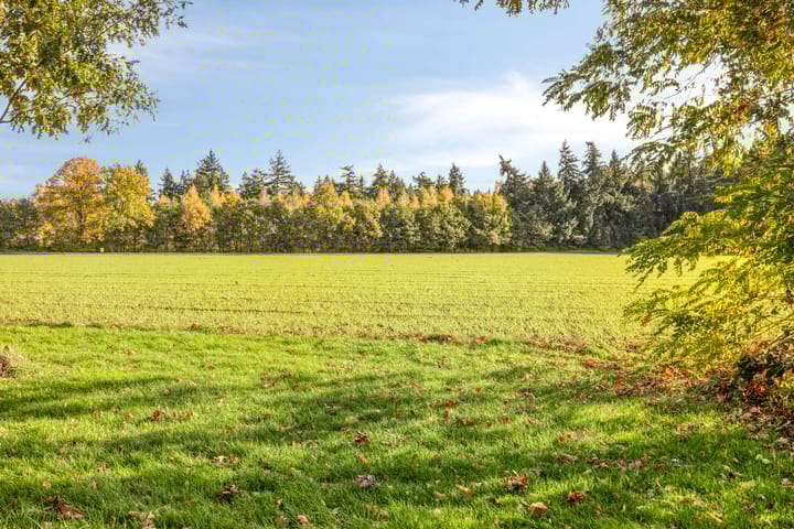 Foto 34 van Boekweitsdries 10