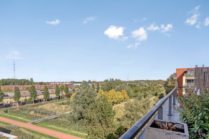 Photo 46 of Lobeliuslaan 162