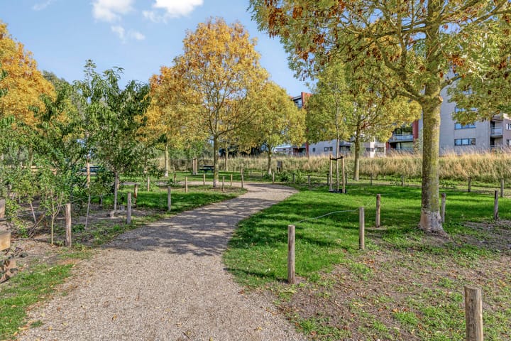 Photo 55 of Lobeliuslaan 162