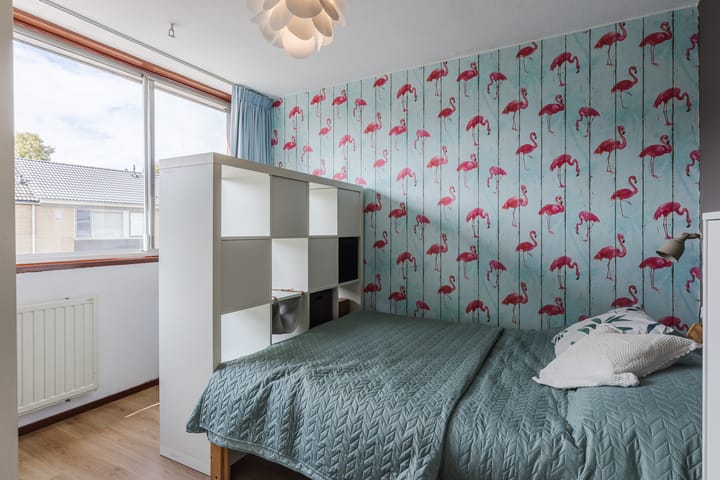 Photo 17 of Sirius 20