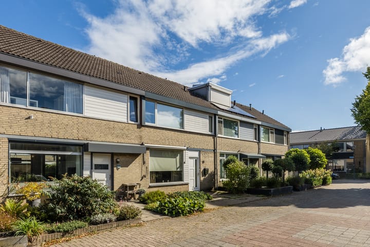 Photo 29 of Sirius 20