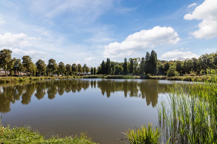 Photo 32 of Sirius 20