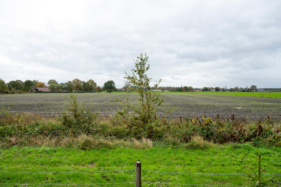 Foto 37 van Speltakker 17