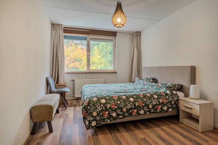 Foto 17 van Distelbergstraat 20