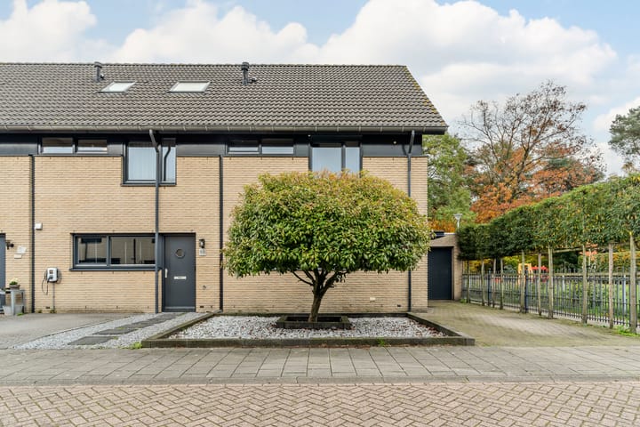 Foto 47 van Distelbergstraat 20