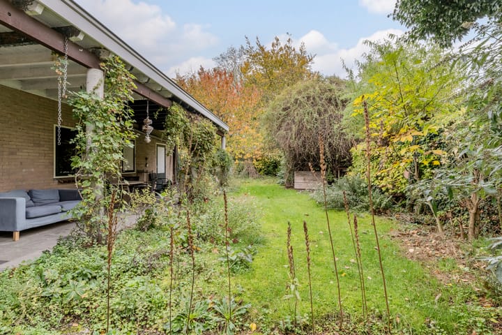 Foto 29 van Hoogstraat 117