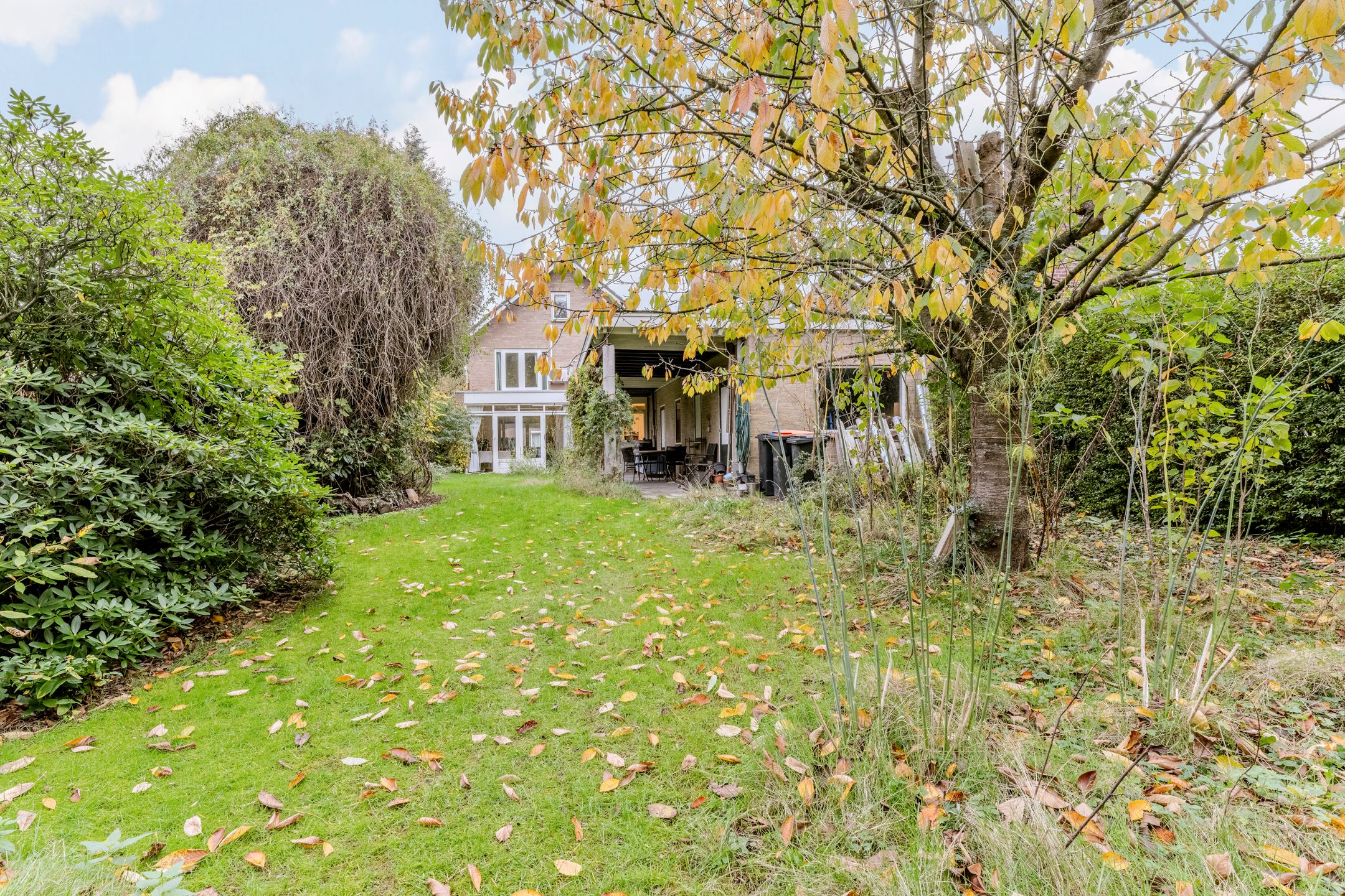 Foto 30 van Hoogstraat 117