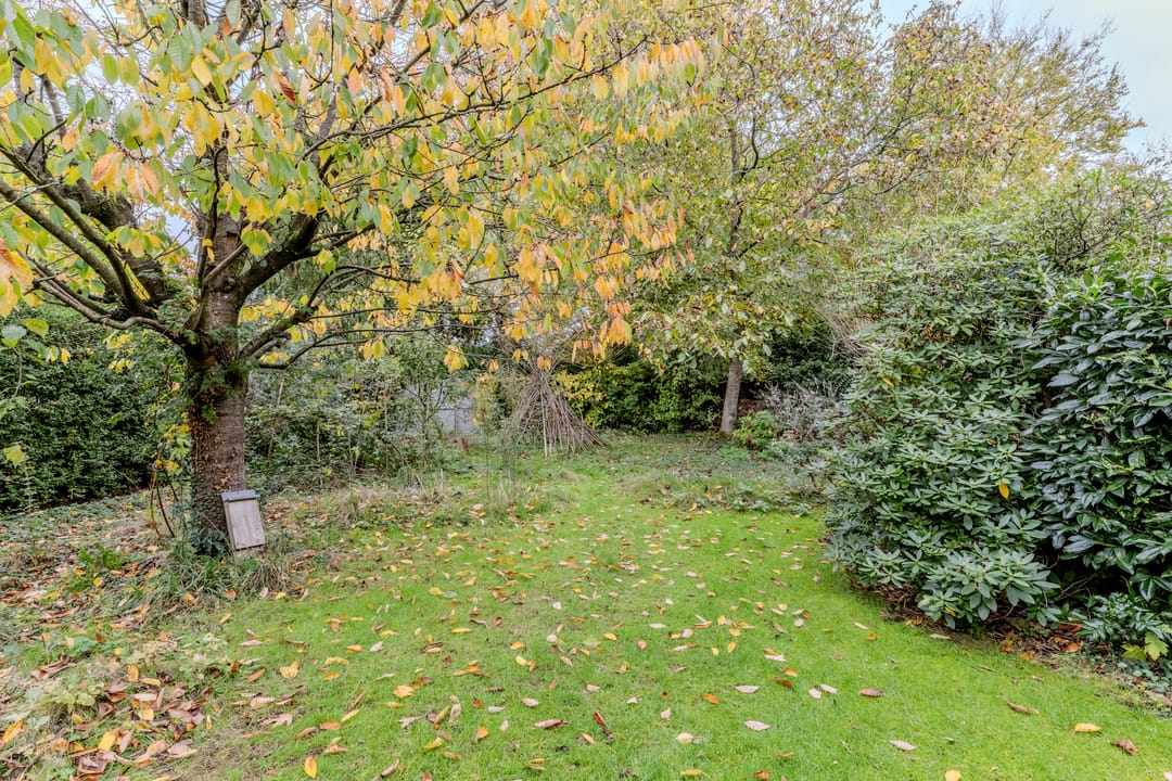 Foto 32 van Hoogstraat 117