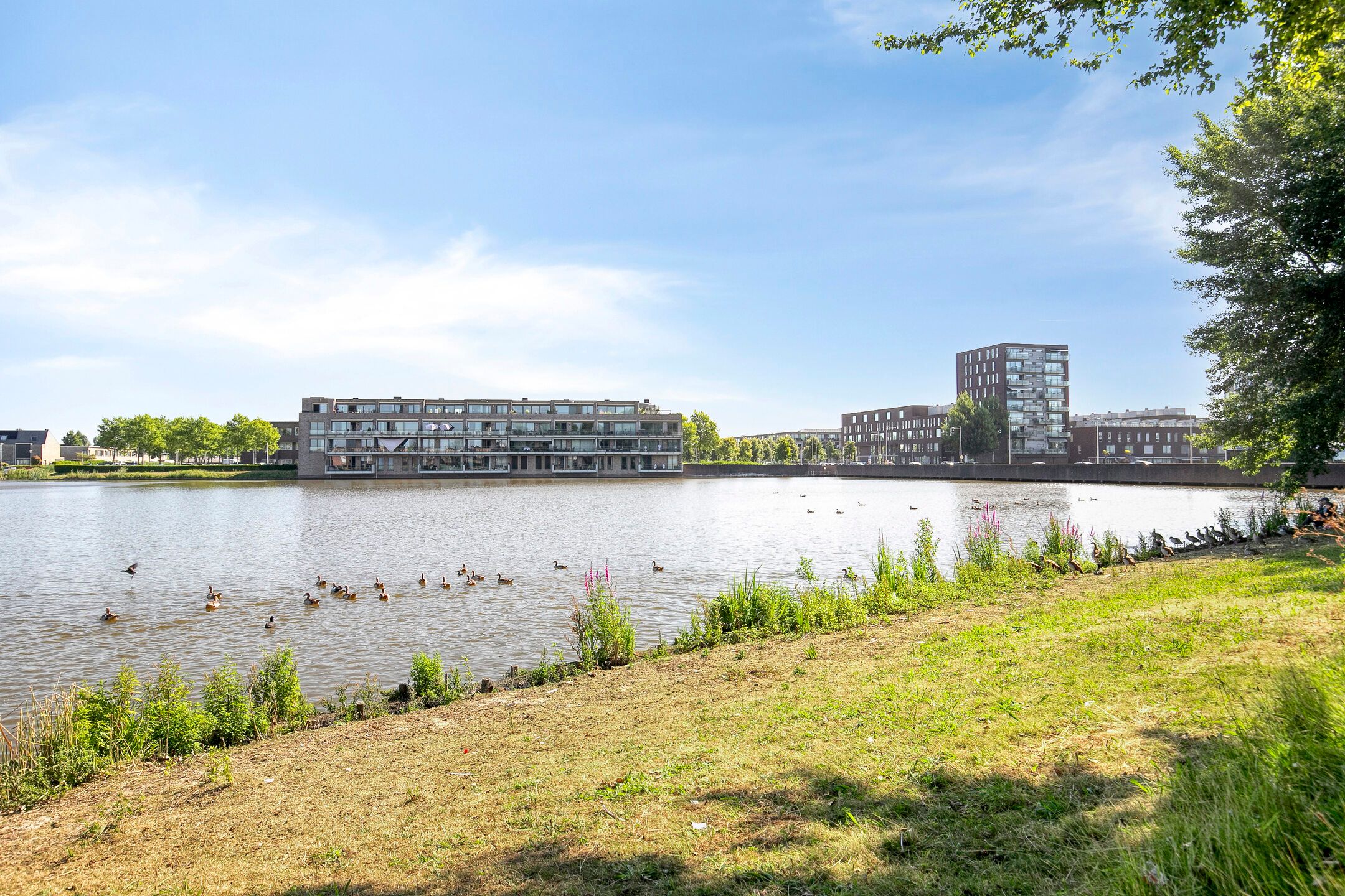 Foto 3 van Romenpad 9