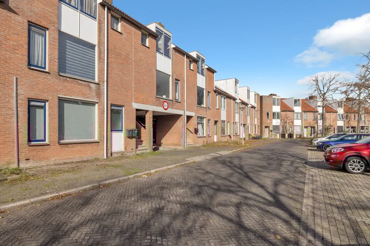 Foto 2 van Ekster 82