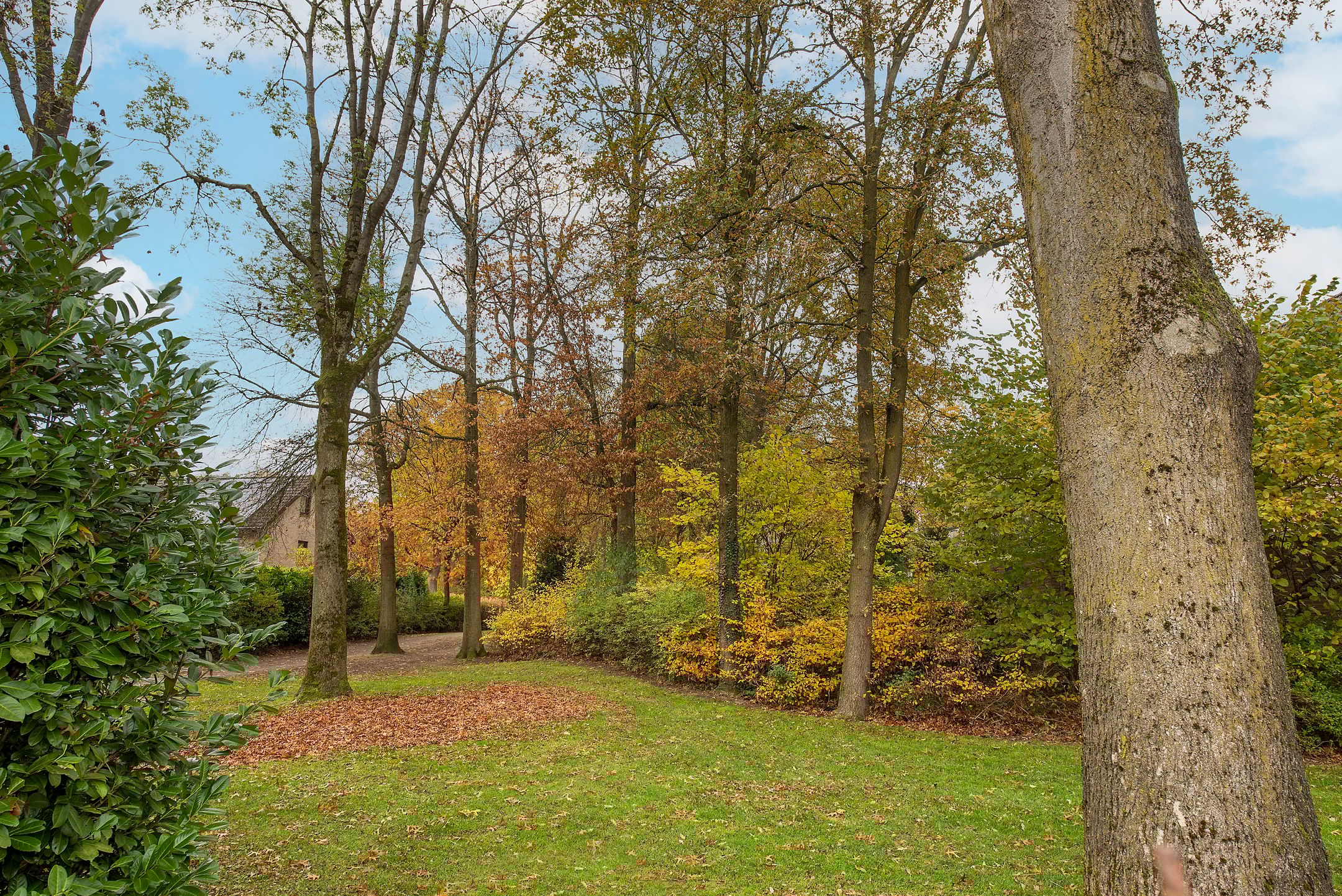 Foto 33 van Cornelis Dopperstraat 112