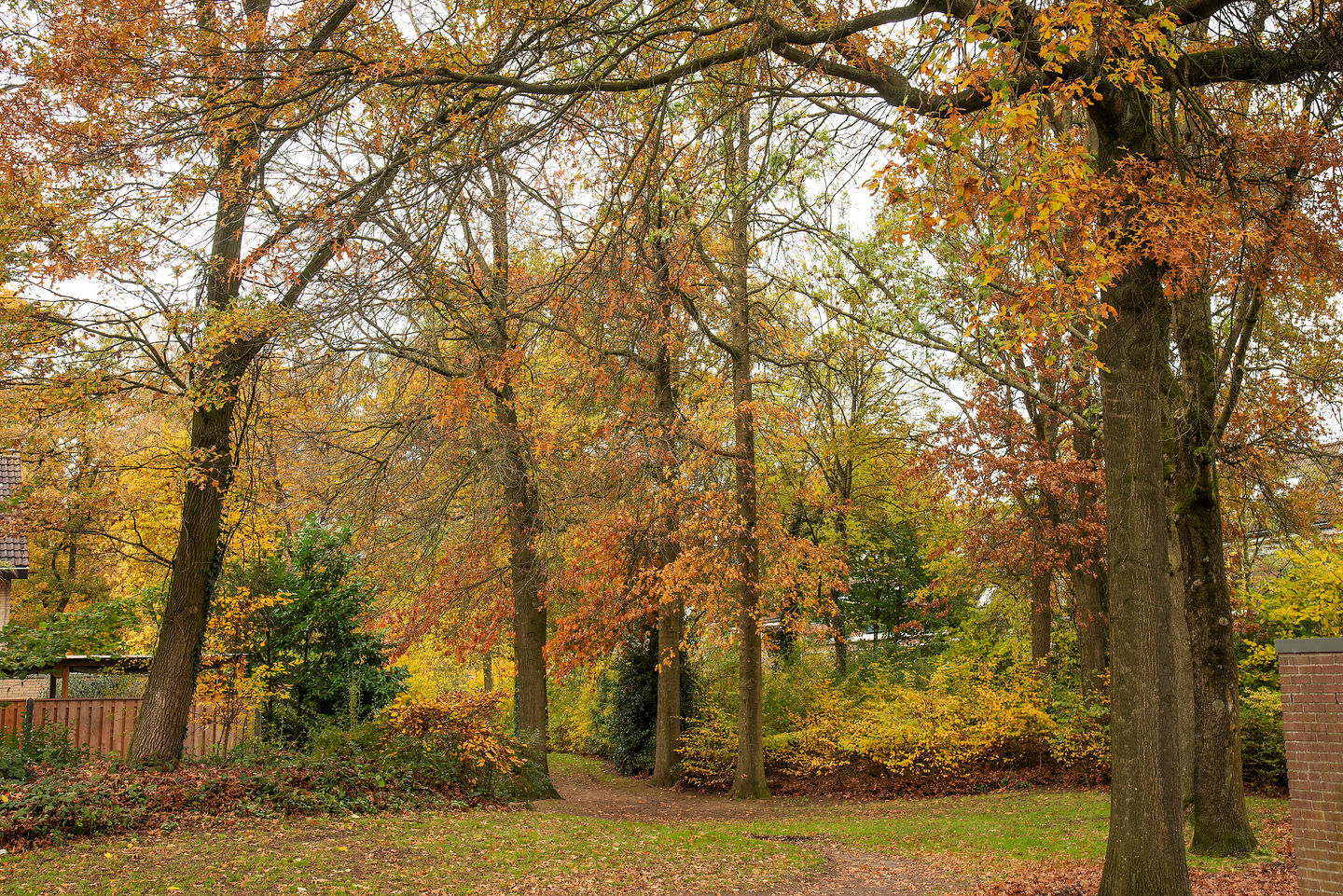 Foto 34 van Cornelis Dopperstraat 112