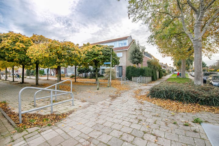 Photo 45 of Prins Alexanderlaan 69