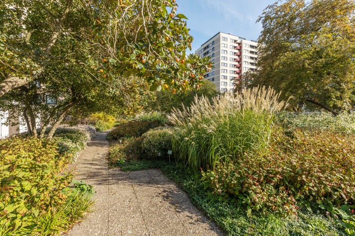 Foto 42 van Vrijzicht 73