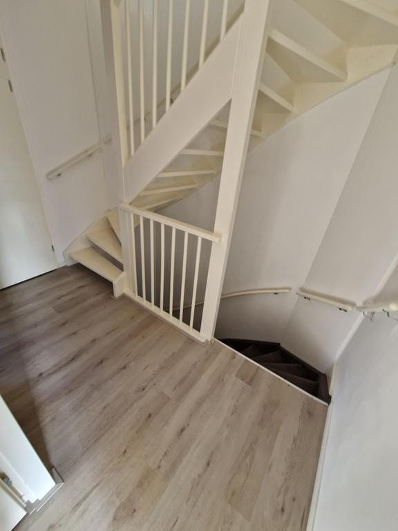 Photo 19 of Hermelijnstraat 22