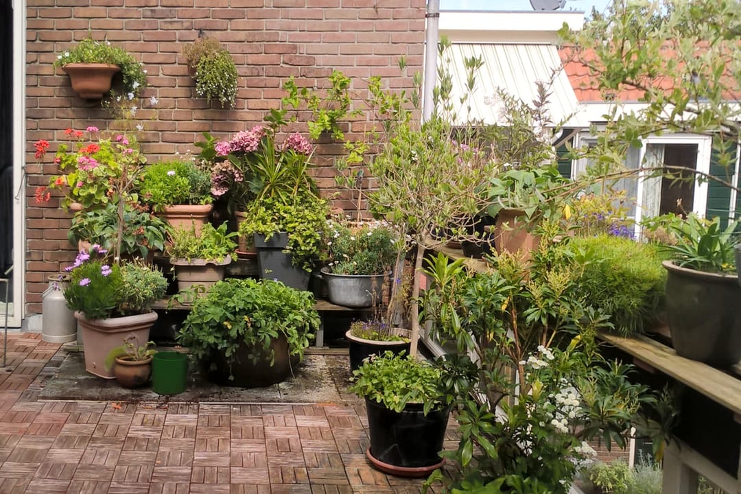 Photo 46 of Vijfhuizerdijk 158