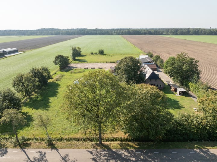 Photo 3 of Domeinweg 11