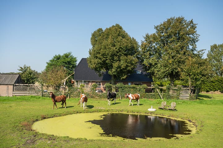 Photo 7 of Domeinweg 11