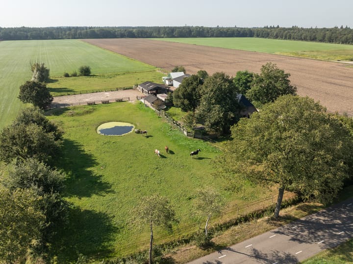 Photo 26 of Domeinweg 11