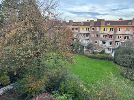 Van Speijkstraat thumbnail