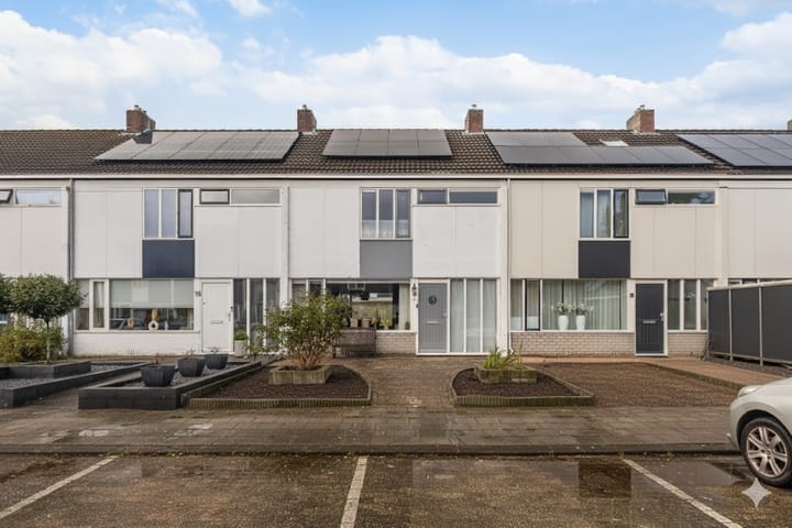 Wylster 17 main image