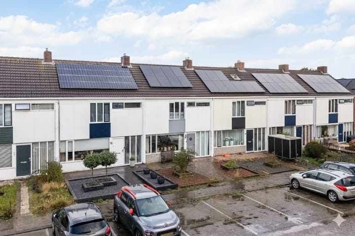 Foto 4 van Wylster 17