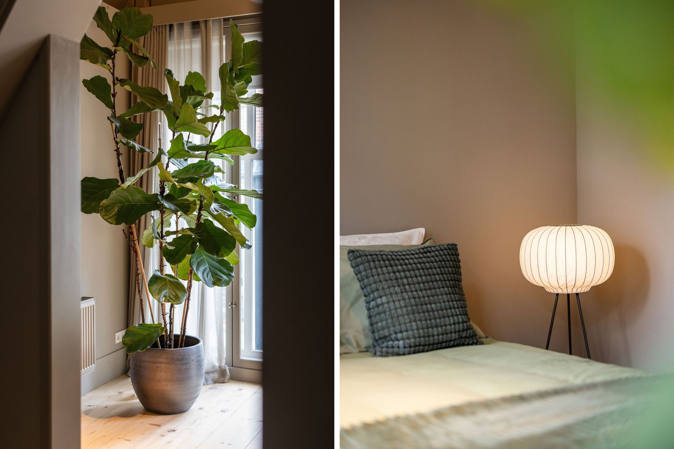 Foto 45 van Pelserstraat 4