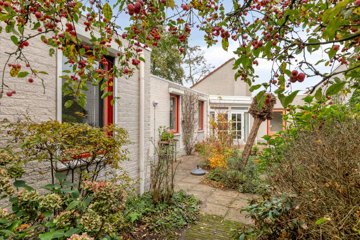 Photo 26 of Broekmorgen 34