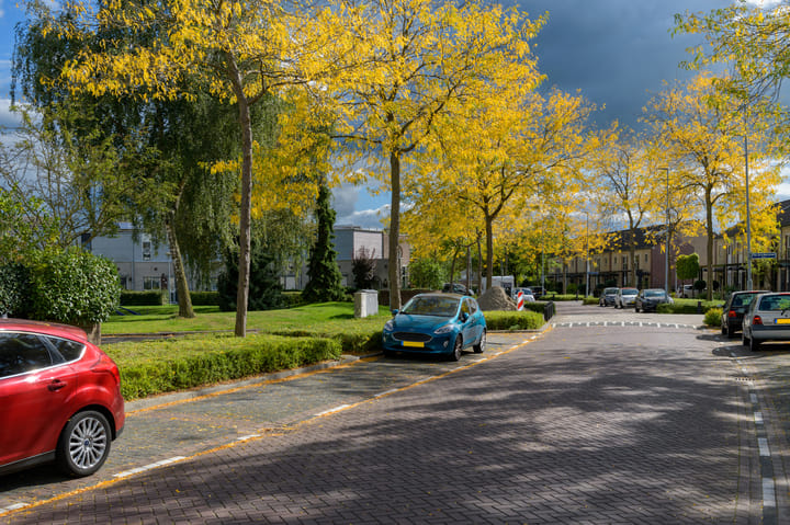 Foto 38 van Ien Dalessingel 35