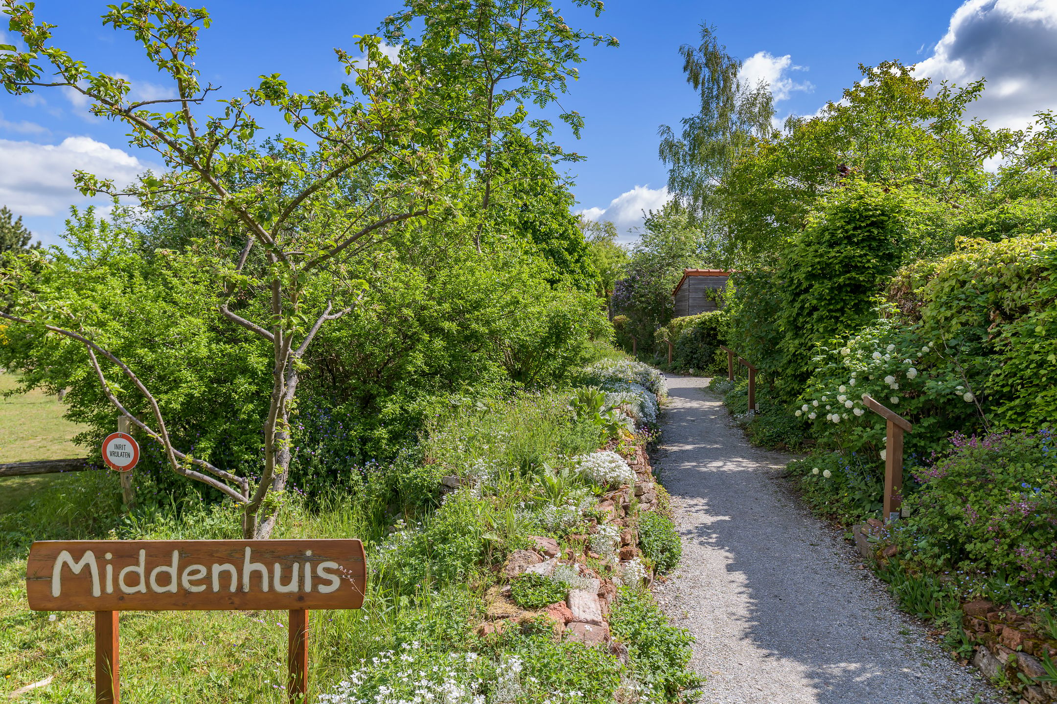Photo 42 of Ien Dalessingel 35