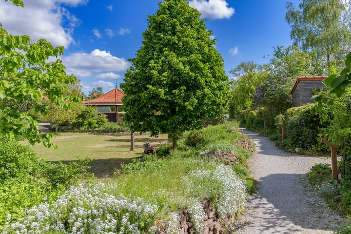 Foto 45 van Ien Dalessingel 35