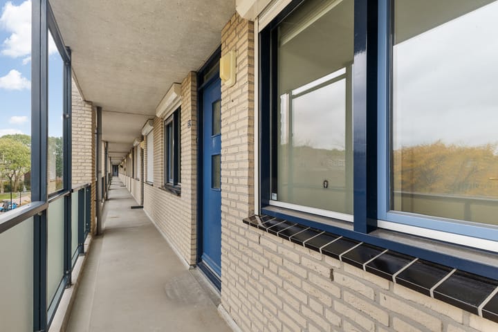 Photo 5 of Malachiet 32