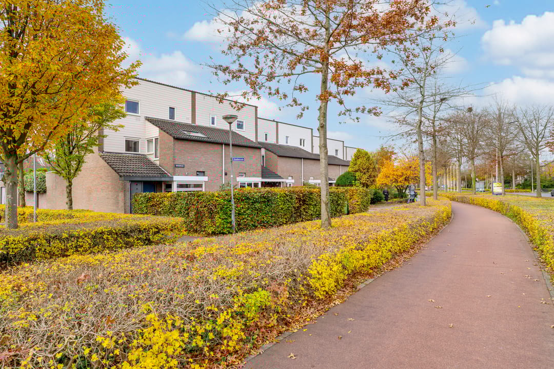 Photo 41 of Goedenrade 44