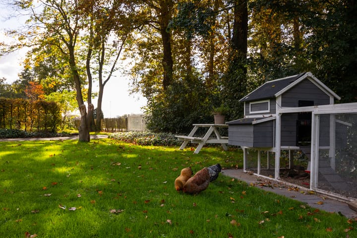 Foto 59 van Barloseweg 28